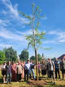 arbre de vie