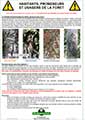 fiche chenille processionnaire