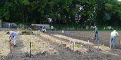 jardinage-1