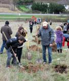 plantation-verger