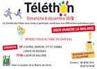 telethon-2013-affiche