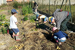 jardin-partage-1